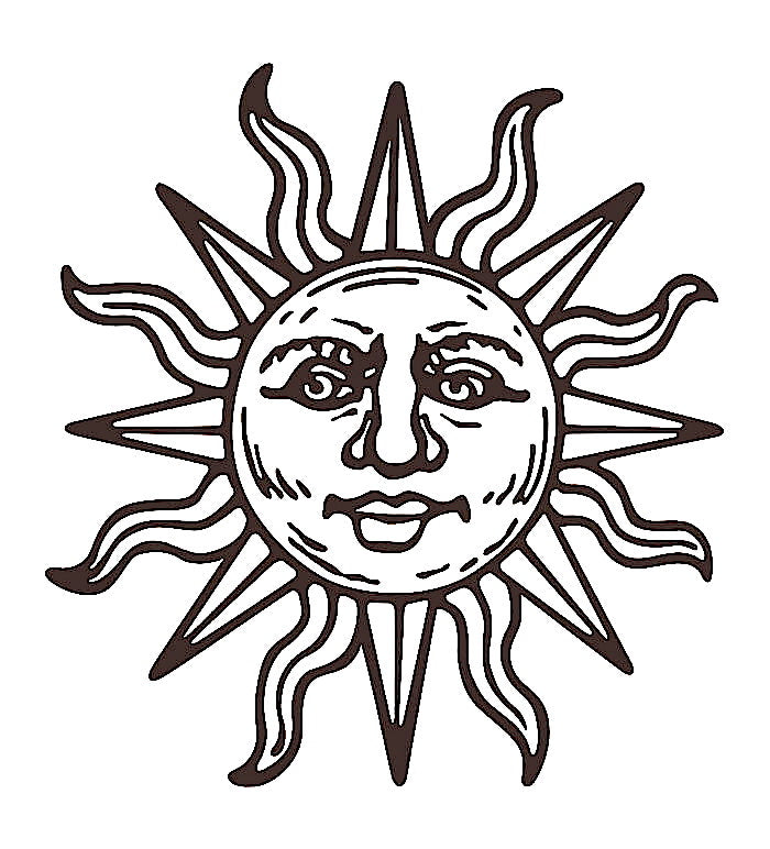 Start of Summer Sale: 15% Off All Salves & Infused Oils