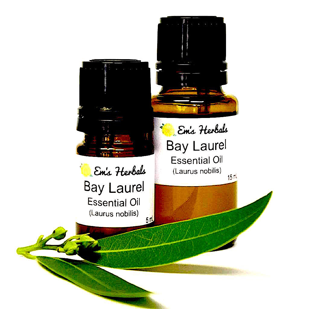 Bay Laurel (Laurus nobilis) Essential Oil, Certified Organic