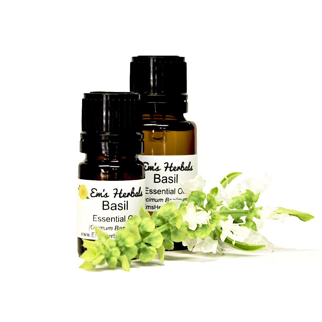 Basil (Ocimum basilicum) Essential Oil, Steam Distilled, Certified Organic