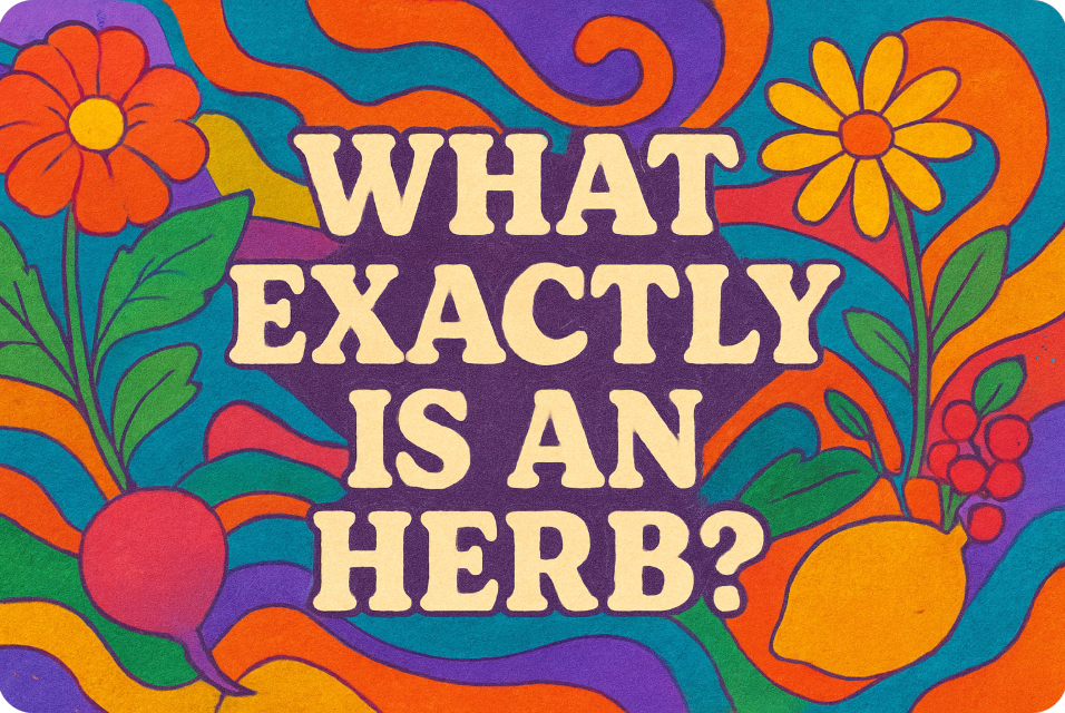 What Exactly Is an Herb? (Hint: It’s So Much More Than You Think!)