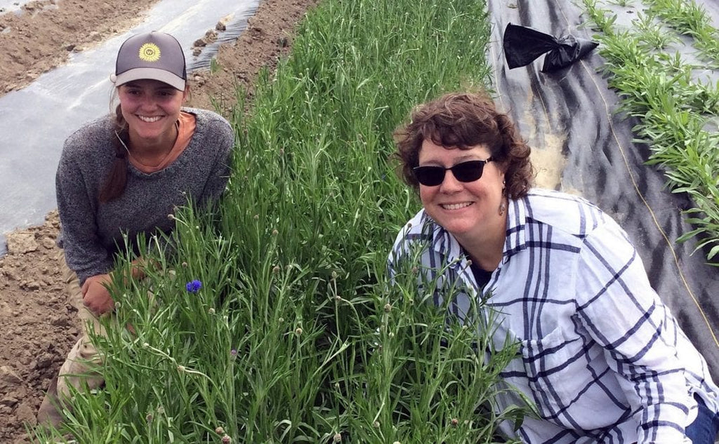 Em's Herbals: featured in local news!