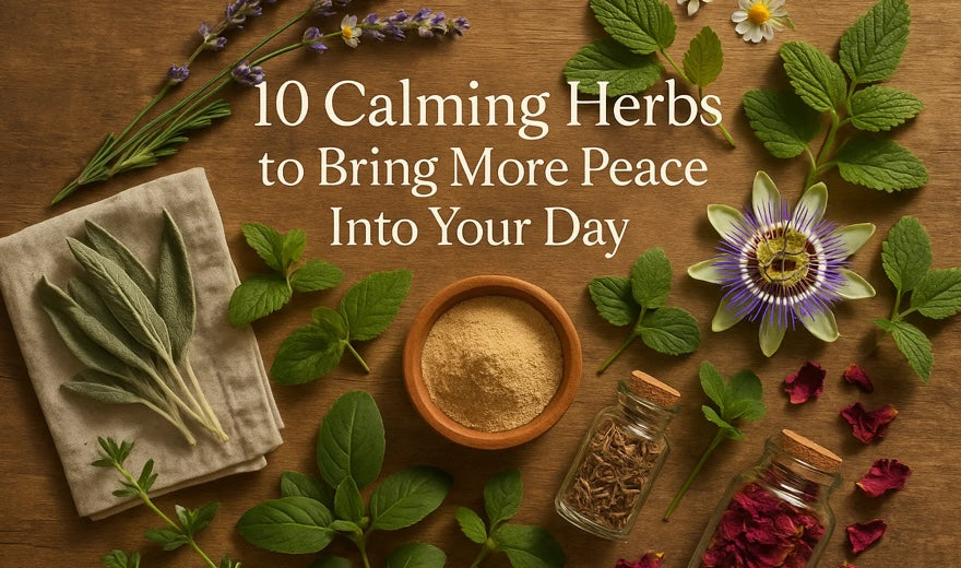 10 Calming Herbs to Bring More Peace Into Your Day
