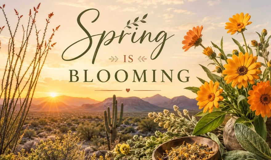 Spring Is Blooming — Local Harvests, Southwest Herbs (and an announcement!)