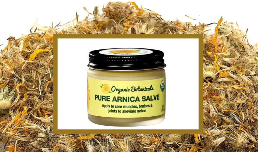 Arnica — Nature’s Classic for Bumps & Bruises