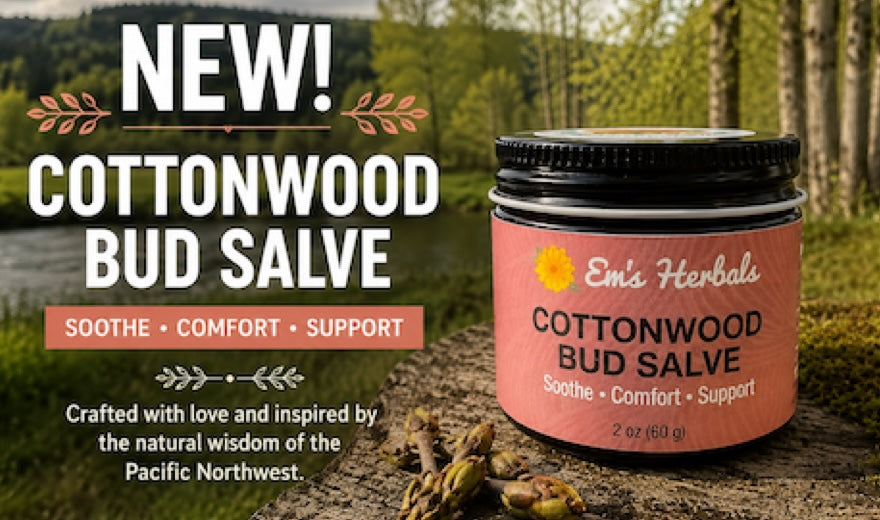 Locally Harvested Cottonwood Bud Salve is here!