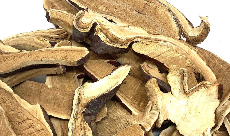 Reishi — The Mushroom of Longevity and Calm