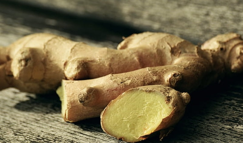 10 Versatile Super Herbs That Have Been Used for Centuries Worldwide