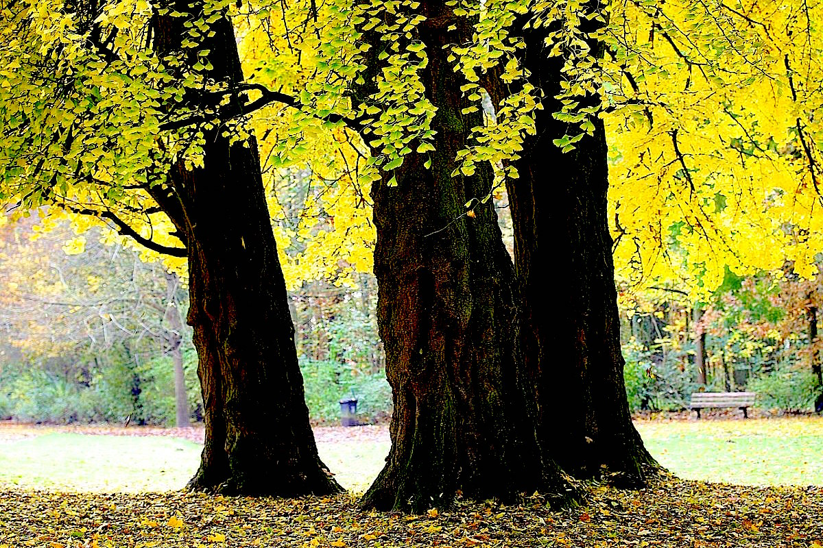 Fall 2021 Newsletter