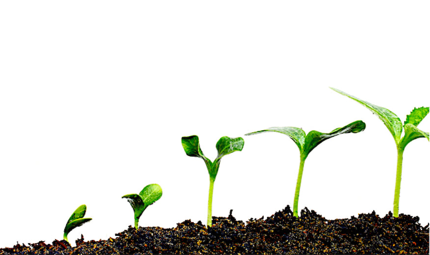 We Are Growing!