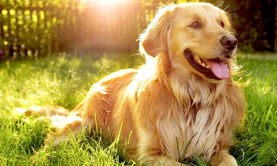 Summertime: Cooling Tips & Tricks