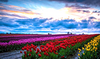 Spring Newsletter 2025