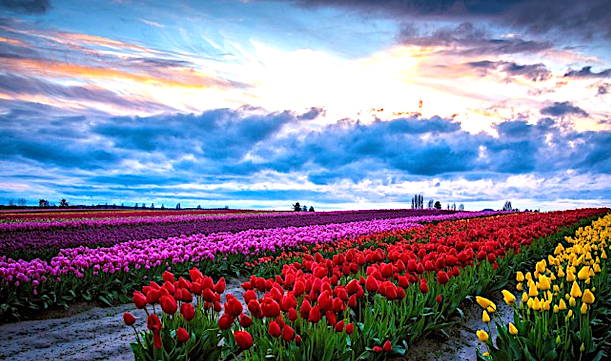 Spring Newsletter 2025