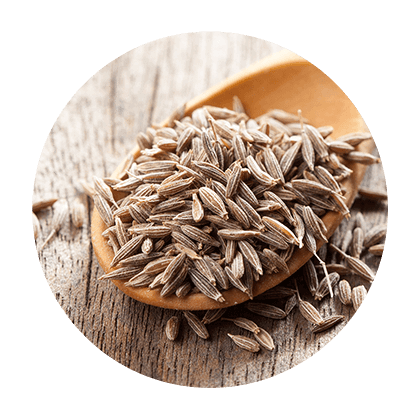 Bulk Organic Herbs -  name category A - C