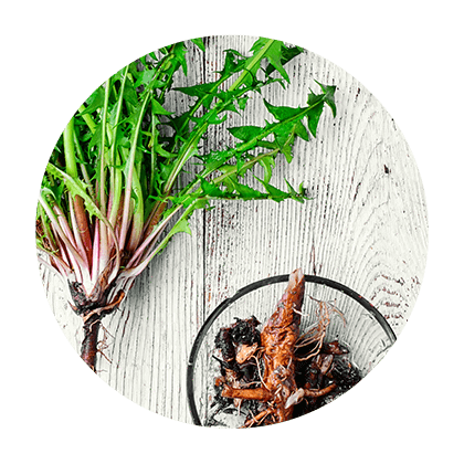 Bulk Organic Herbs -  name category D - F