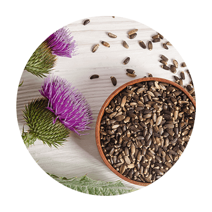 Bulk Organic Herbs -  name category G - M
