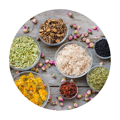 Wholesale Bulk Organic Herbs