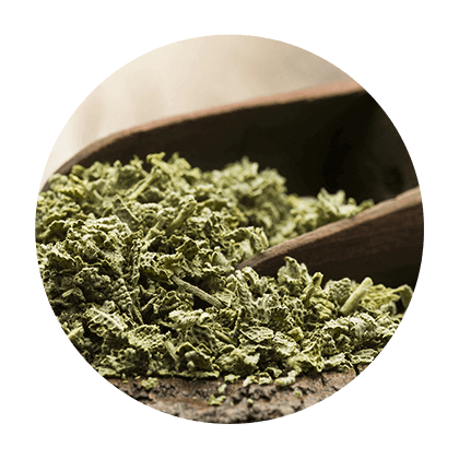 Bulk Organic Herbs -  name category Q - Z