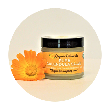 A flower sits beside a 2 oz jar of Pure Calendula salve