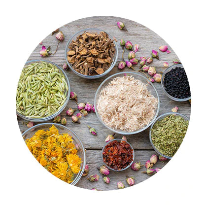 Bulk Organic Herbs