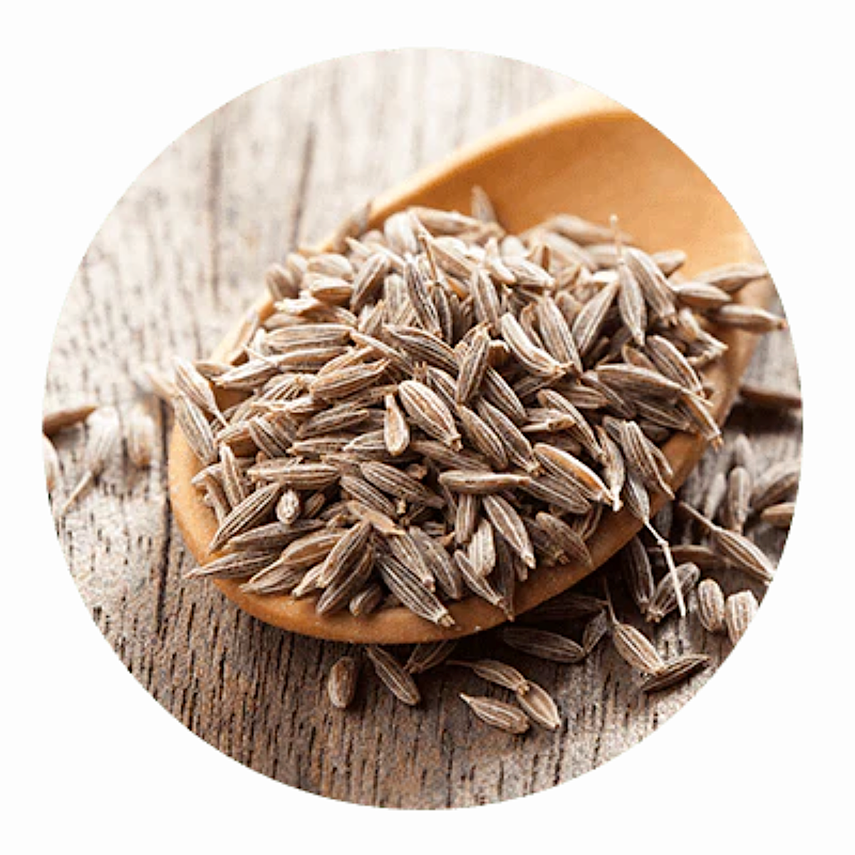 Herbs A - C