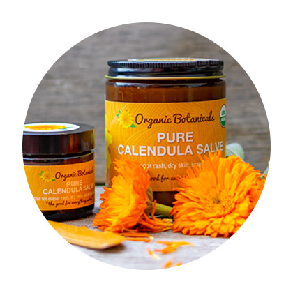 Wholesale Herbal Salves