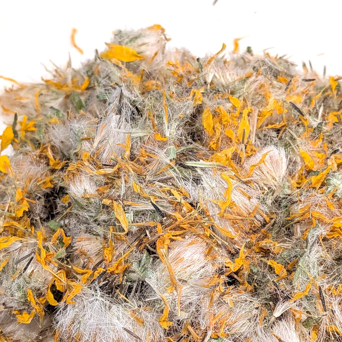 Arnica cordifolia (Heartleaf Arnica), USA Wildcrafted Premium Harvest