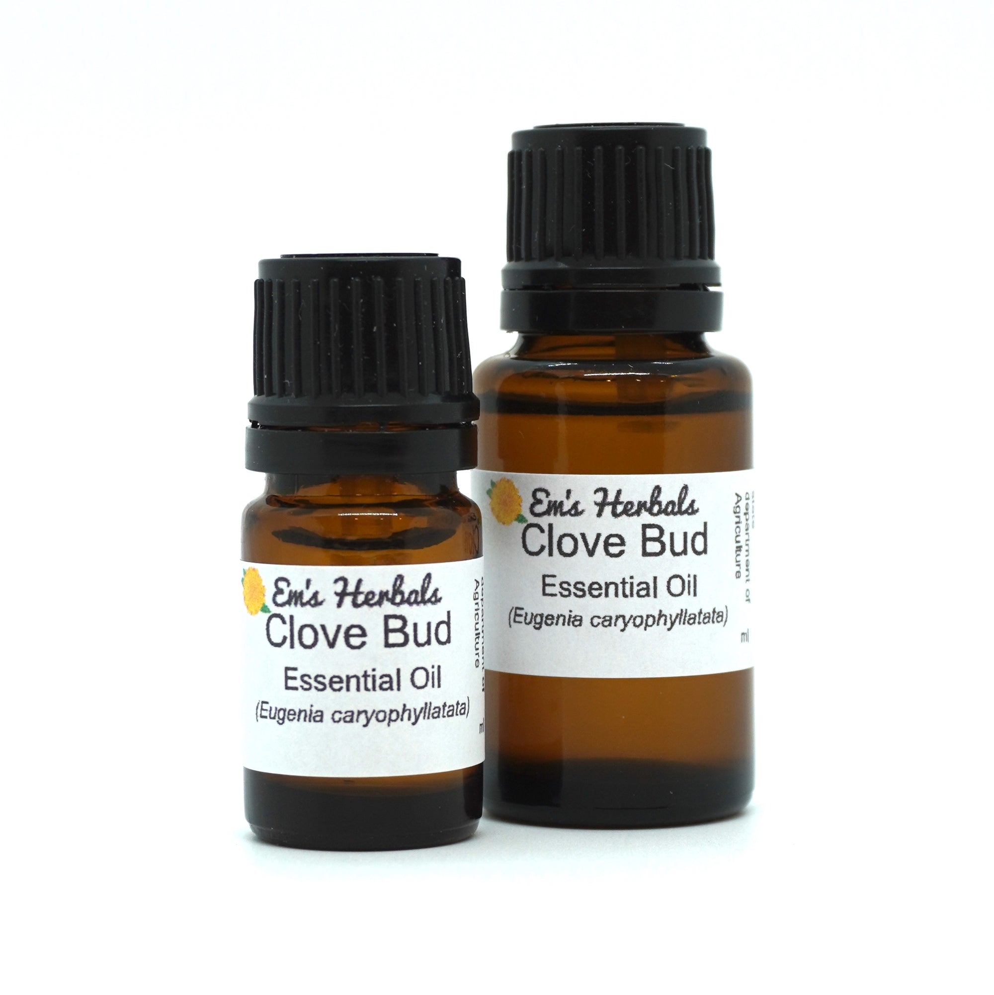 Clove (Syzygium aromaticum) Bud Essential Oil, Certified Organic