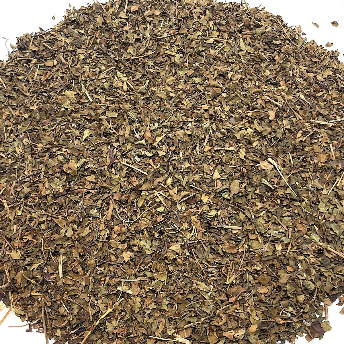 Holy Basil