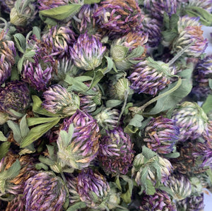 Red Clover (Trifolium pratense) Flowers, Whole, Certified Organic