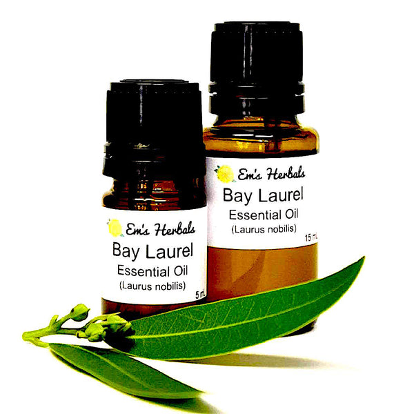 Bay Laurel (Laurus Nobilis) Essential Oil, Certified Organic - Emsherbals