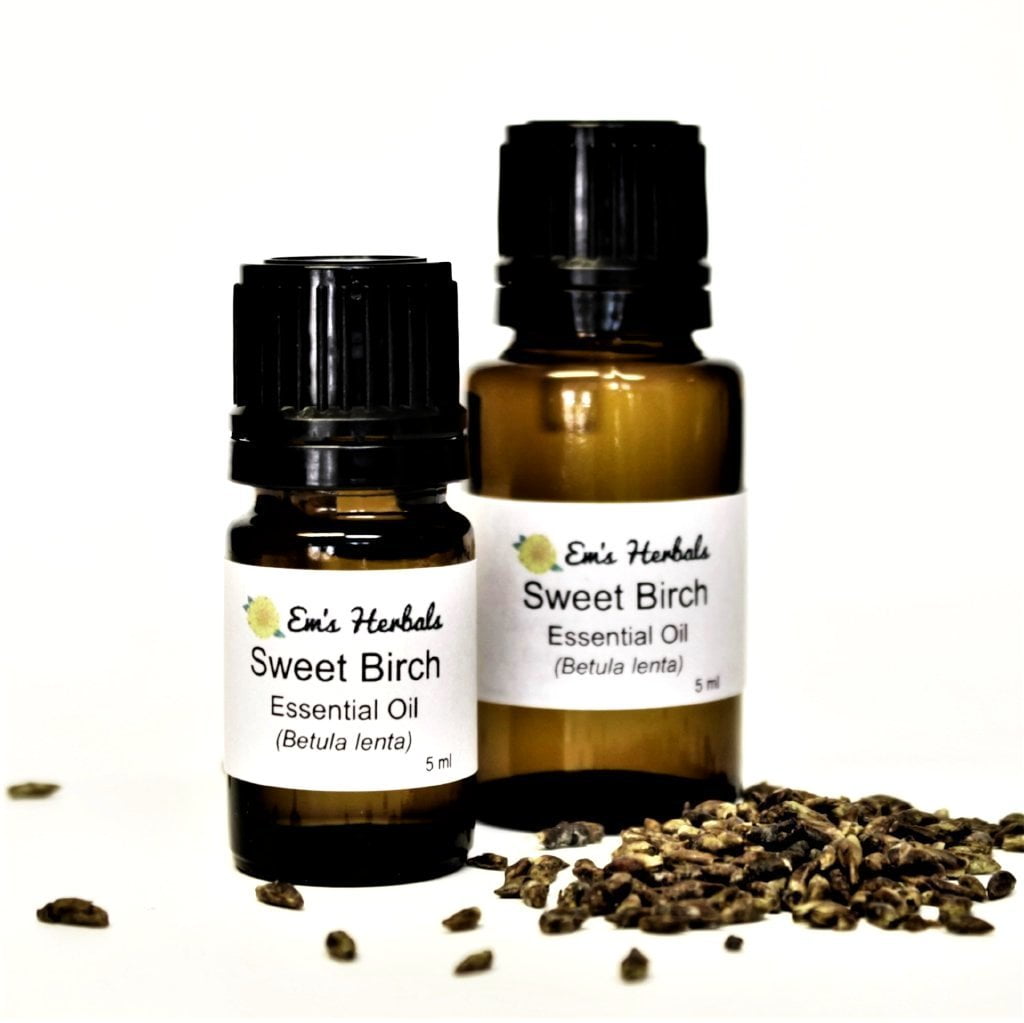 Birch, Sweet (Betula lenta) Essential Oil, Wild Harvested - emsherbals