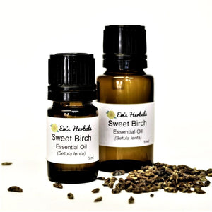 Birch, Sweet (Betula lenta) Essential Oil, Wild Harvested - emsherbals