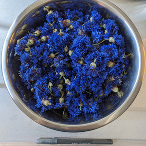 Blue Cornflowers (Centaurea cyanus), Certified Organic, PNW Grown