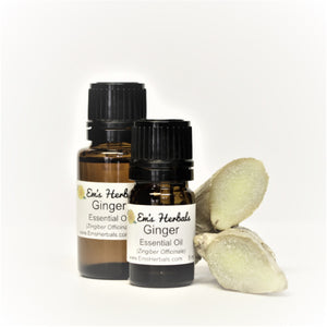 Wholesale Steam Distilled Ginger Essential Oil