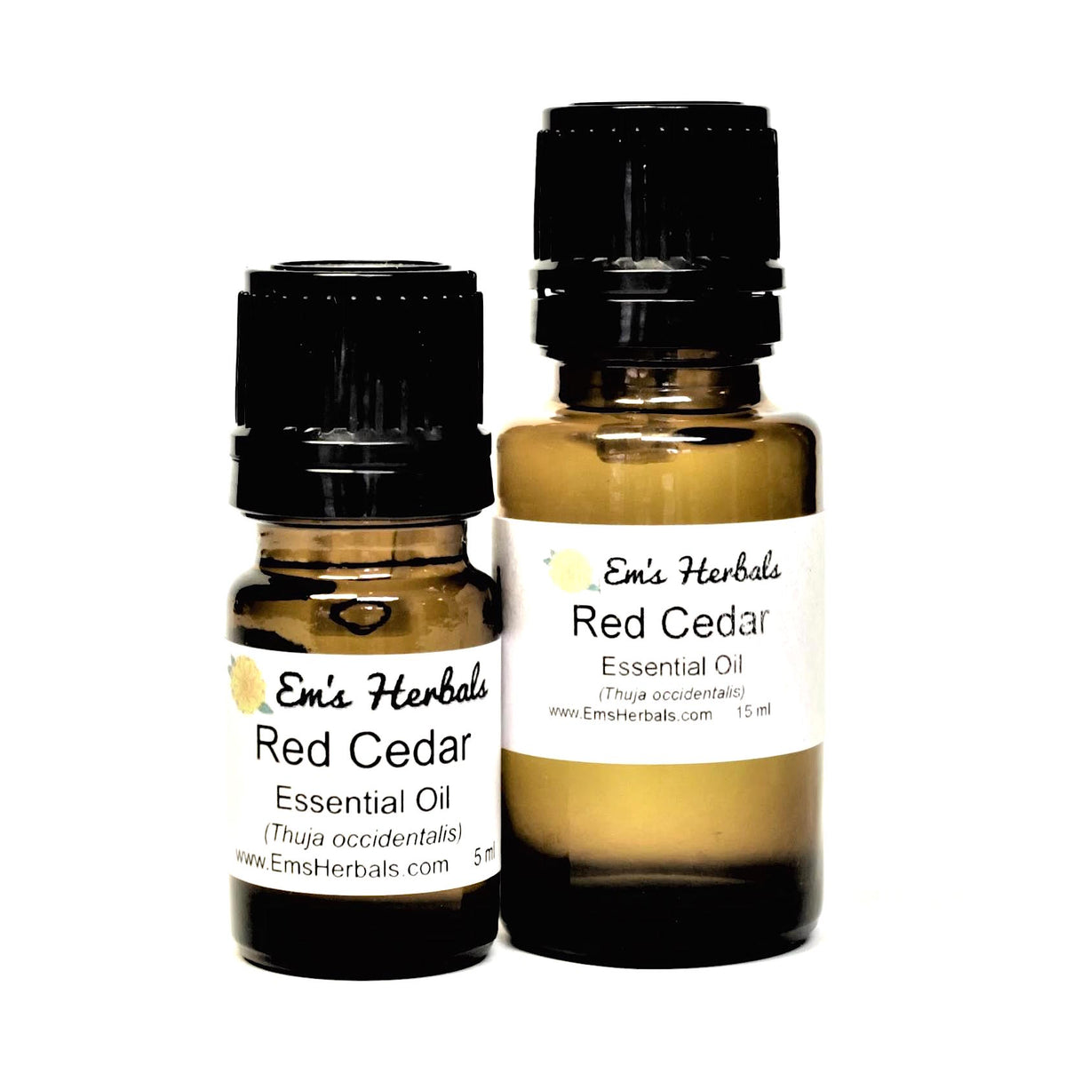 Wild Crafted Western Red Cedar Essential Oil