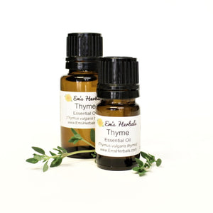 Wholesale Thyme Essential Oil