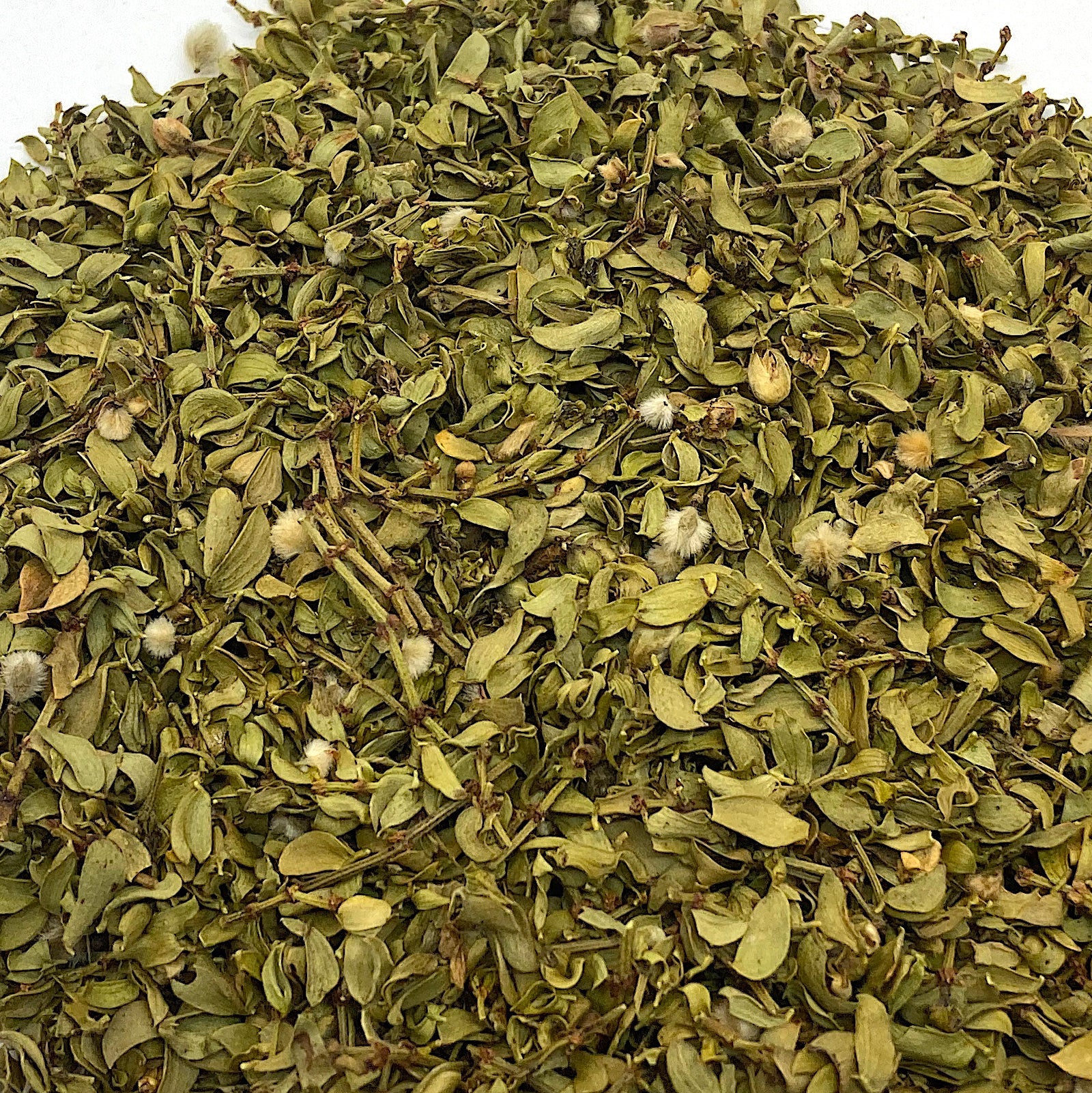 Chaparral Leaf Chaparral Leaf