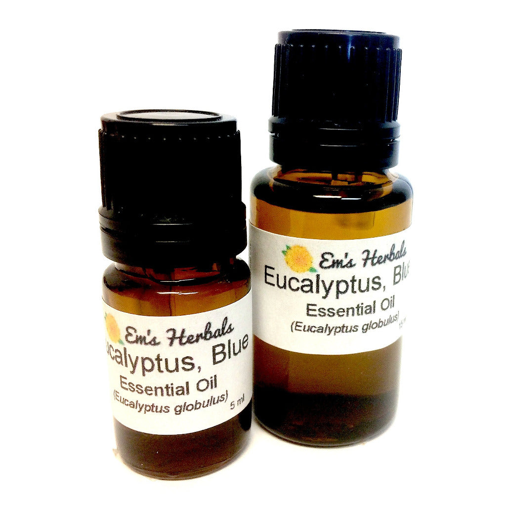 Blue Eucalyptus Essential Oil