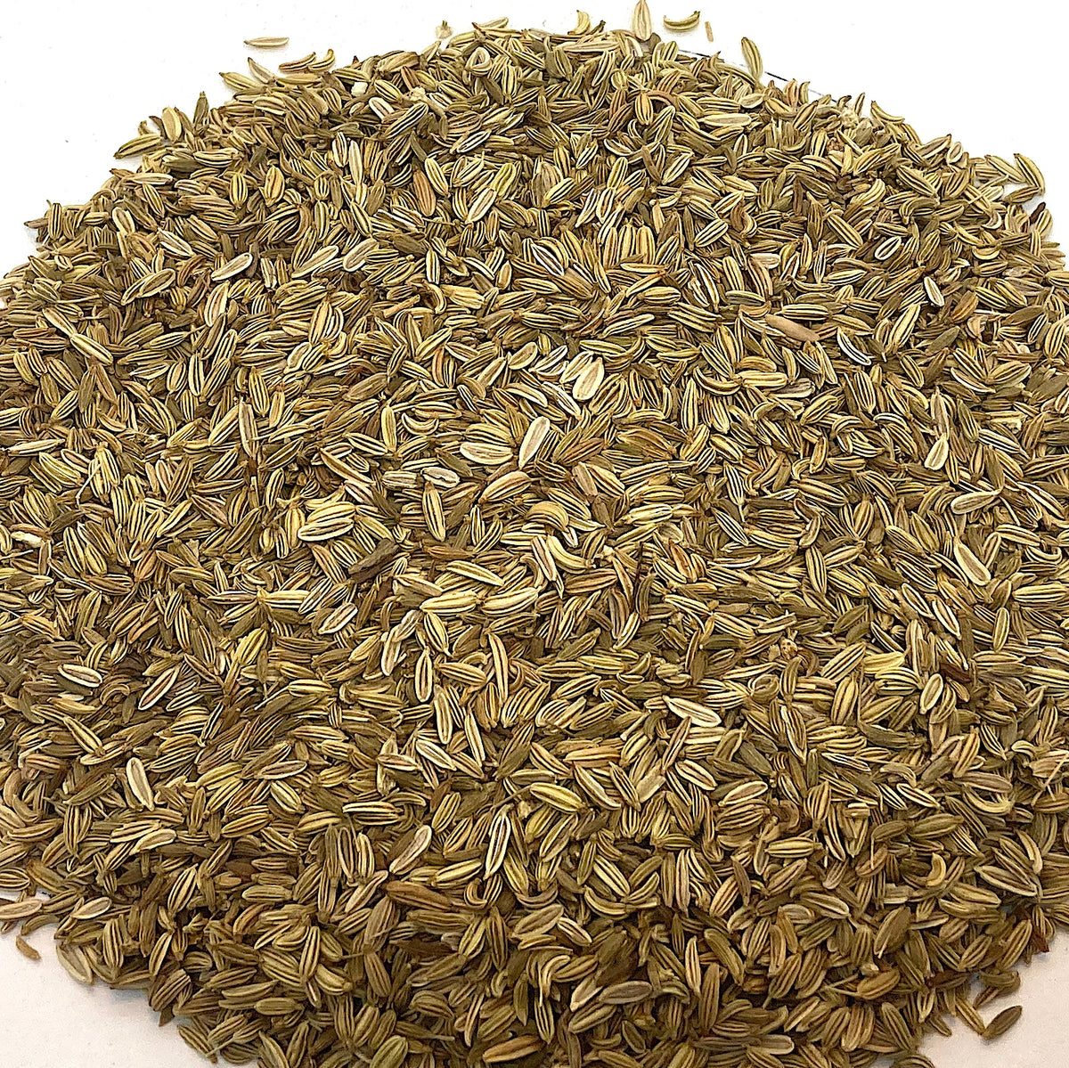 Organic Fennel Seed