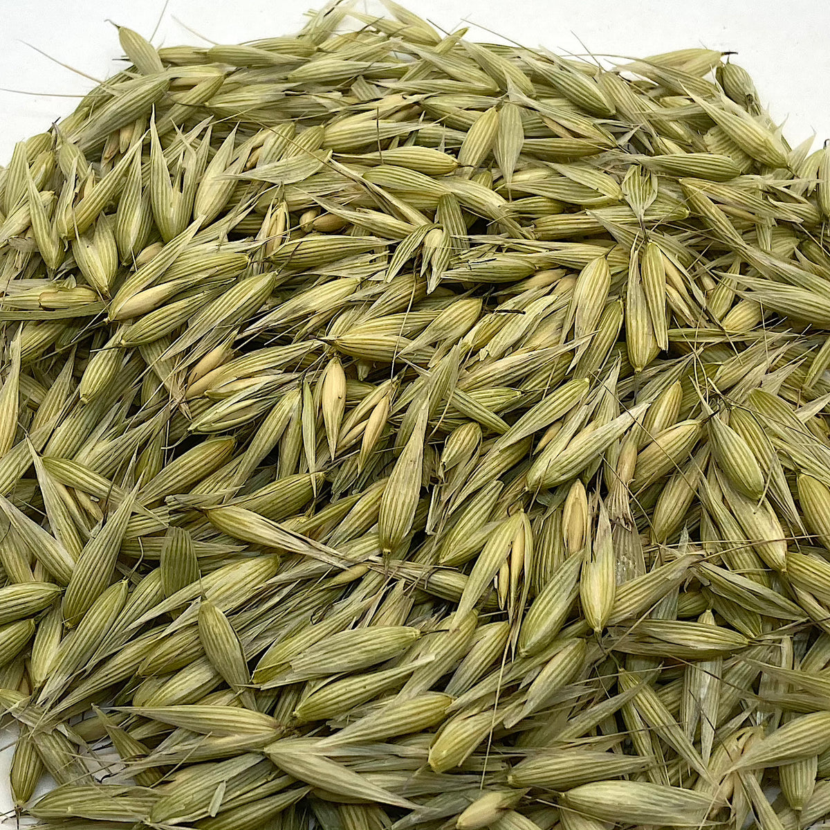 Organic Oat Tops