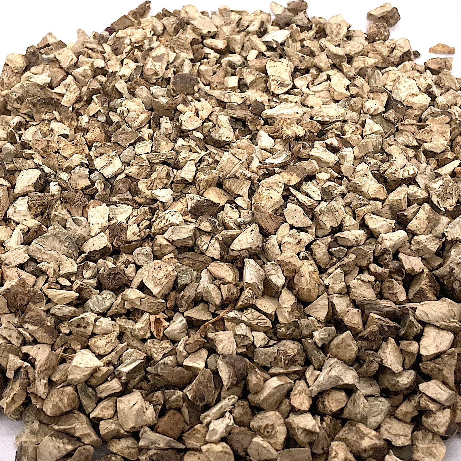 Wild Harvested Stone Root