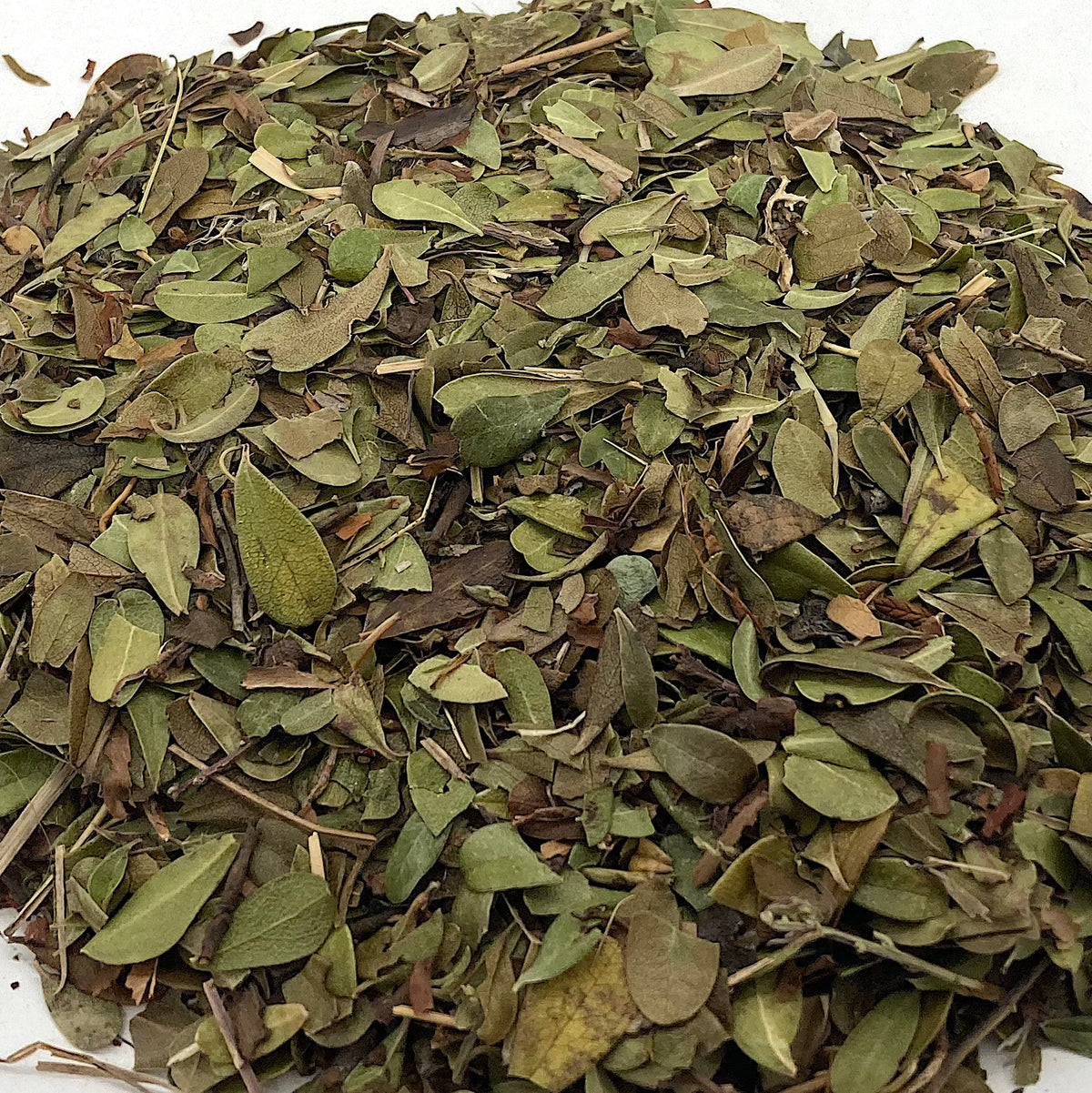 Organic Uva Ursi Leaf