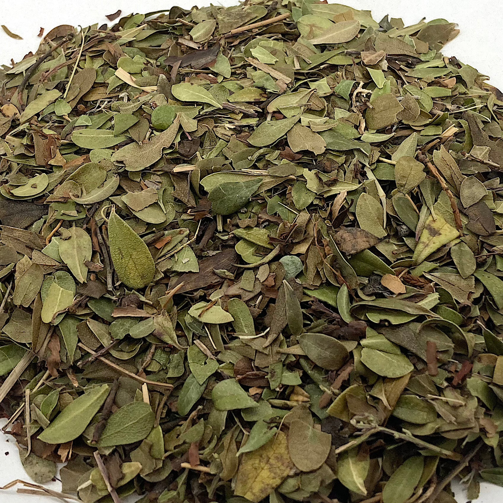 Organic Uva Ursi Leaf