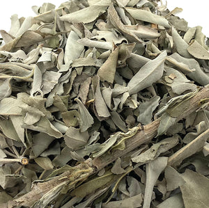 Wholesale Cultivated White Sage Leaf